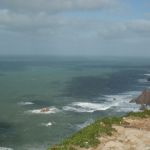 DSC00631-w740_h495